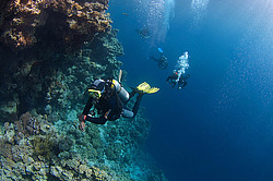 ������� ���� (Blue hole) - �����, ������� ����, ������