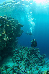 ������� ���� (Blue hole) - �����, ������� ����, ������