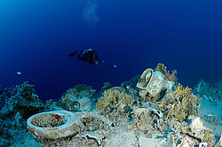 ��������� ��� �������� ����, ������