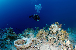 ��������� ��� �������� ����, ������