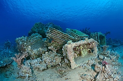 ��������� ��� �������� ����, ������