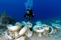 ��������� ��� �������� ����, ������