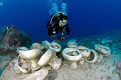 ��������� ��� �������� ����, ������