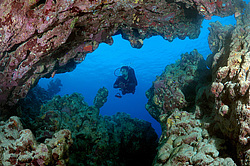 ��������� ��� �������� ����, ������