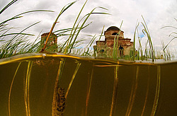 ������, ������� (�������� ���. )