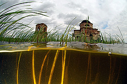 ������, ������� (�������� ���. )