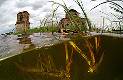 ������, ������� (�������� ���. )