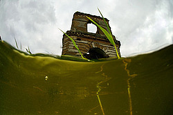 ������, ������� (�������� ���. )