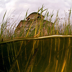 ������, ������� (�������� ���. )