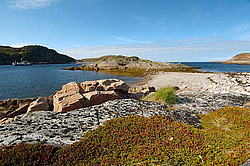 ��������� ����, ���� ��������