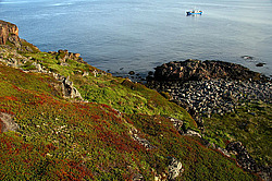 ��������� ����, ��������� ���� ��������