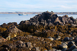 ��������� ����, ��������� ���� ��������