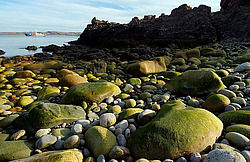 ��������� ����, ��������� ���� ��������