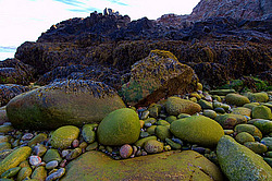 ��������� ����, ��������� ���� ��������