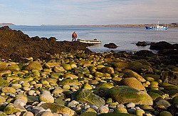 ��������� ����, ��������� ���� ��������