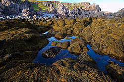 ��������� ����, ��������� ���� ��������