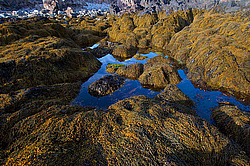 ��������� ����, ��������� ���� ��������