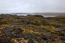 ��������� ����, ��������� ���� ��������