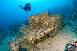 ����������������� Bren Carrier MK-1. ������������ ���������� � ���� �� ����� ���������� ������� 1956 ����