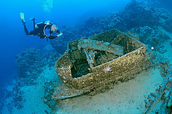 ����������������� Bren Carrier MK-1. ������������ ���������� � ���� �� ����� ���������� ������� 1956 ����