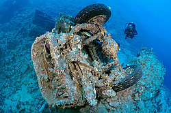 �������� Bedford. ������������ ���������� � ���� �� ����� ���������� ������� 1956 ����