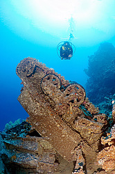 ����������������� Bren Carrier MK-1. ������������ ���������� � ���� �� ����� ���������� ������� 1956 ����