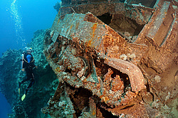 ����������������� Bren Carrier MK-1. ������������ ���������� � ���� �� ����� ���������� ������� 1956 ����