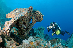 �������� Bedford. ������������ ���������� � ���� �� ����� ���������� ������� 1956 ����