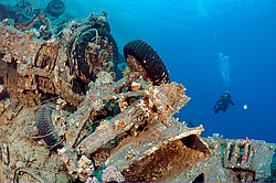 �������� Bedford. ������������ ���������� � ���� �� ����� ���������� ������� 1956 ����