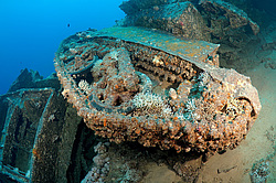 ����������������� Bren Carrier MK-1. ������������ ���������� � ���� �� ����� ���������� ������� 1956 ����