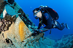 ����������������� Bren Carrier MK-1. ������������ ���������� � ���� �� ����� ���������� ������� 1956 ����