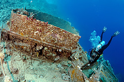 ����������������� Bren Carrier MK-1. ������������ ���������� � ���� �� ����� ���������� ������� 1956 ����