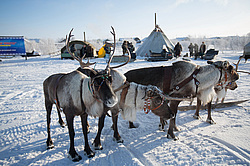 ��������� �������� 2013. �����