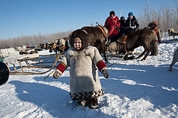 ��������� �������� 2013. ����