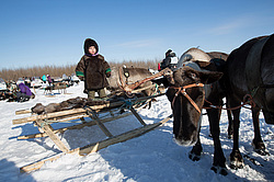 ��������� �������� 2013. ����