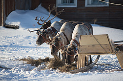 ��������� �������� 2013. �����