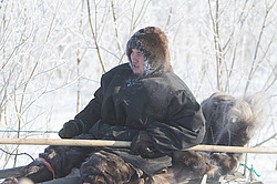 �������� ��������� ��������� �������� 2013.  �������� �������