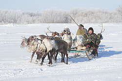 �������� ��������� ��������� �������� 2013. ������������ ������� �������