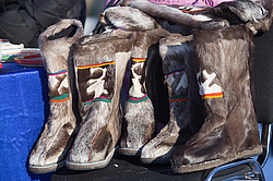 ��������� �������� 2013. ���� ����