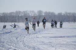 ��������� �������� 2013. ������������