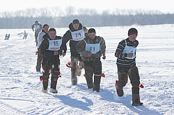 ��������� �������� 2013. ������������