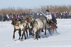 ��������� �������� 2013. ������������