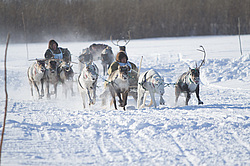 ��������� �������� 2013. ������������