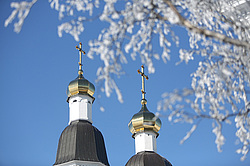 �����������. ���� ������. ��� ������