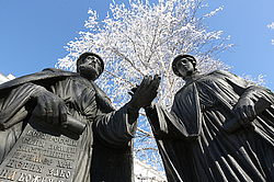 �����������. ���� ������. ��� ������