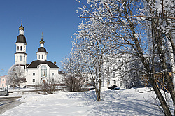 �����������. ���� ������. ��� ������