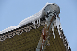 �����������. ���� ������. ��� ������