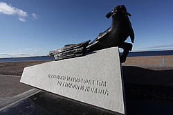 �����������. ���� ������. ��� ������