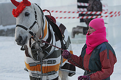 ������������ ���������