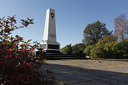 �����������. ���� ������. ��� ������